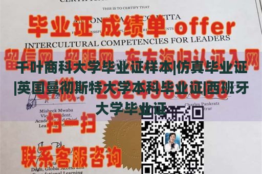 千叶商科大学毕业证样本|仿真毕业证|英国曼彻斯特大学本科毕业证|西班牙大学毕业证