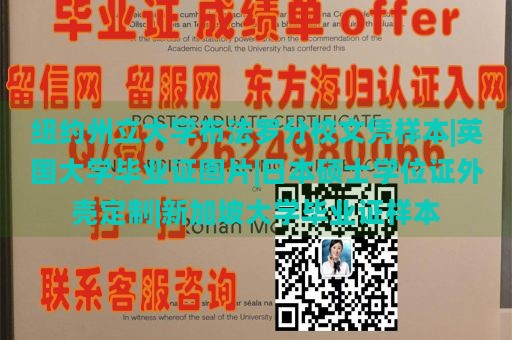 纽约州立大学布法罗分校文凭样本|英国大学毕业证图片|日本硕士学位证外壳定制|新加坡大学毕业证样本